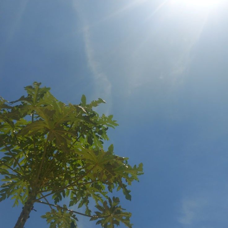 zuubyy (@zubyyzu) on Twitter photo 