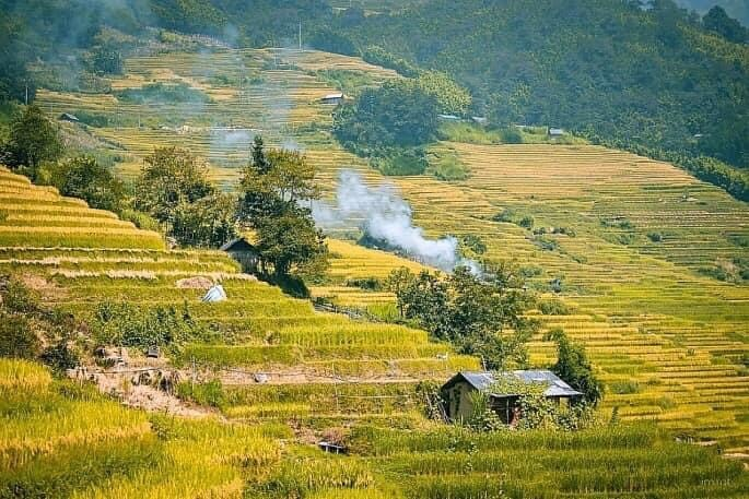 cruises88339's tweet photo. Xã Y Tý (huyện Bát Xát, Lào Cai) được du khách biết đến với vẻ đẹp hoang sơ và hùng vĩ của núi rừng. Đặc biệt, mỗi khi đến mùa lúa chín, nơi đây được nhuộm sắc vàng bát ngát, tạo nên khung cảnh "thiên đường" tuyệt đẹp và nên thơ. https://t.co/V8bOYiVin6