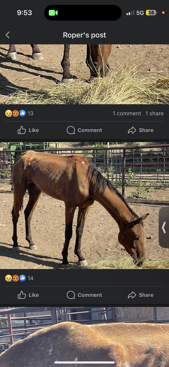 thotsbypaige's tweet photo. @Rodarmel_2019 i think i’d stop trying to call yourself a CoWbOy. maybe spend some money on feed instead of “icing out” your wrist with a fake watch. https://t.co/EjuUMc60uR