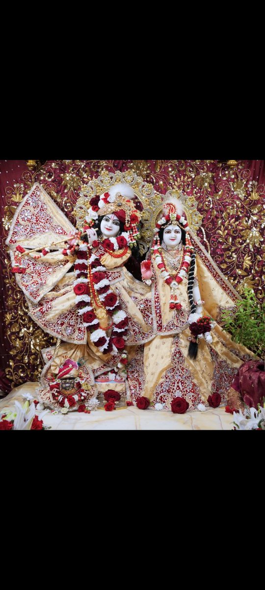 Ashish94500's tweet photo. श्री कृष्ण जन्माष्टमी की हार्दिक शुभकामनाएं.....जय श्री राधे कृष्णा 🌻 https://t.co/yq1NNVn351