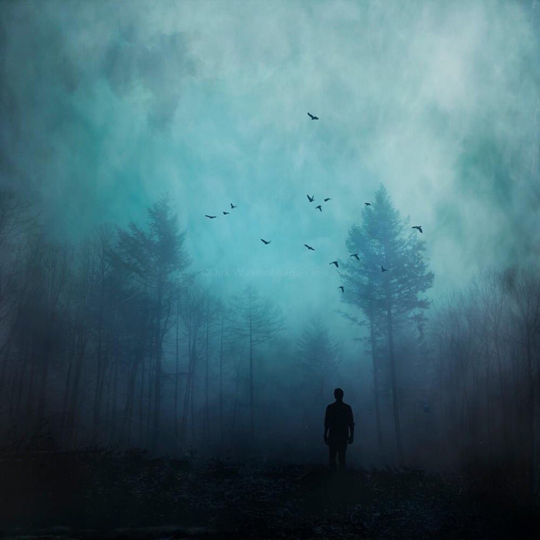 In a world that becomes more lost and fragmented by the day. We need to understand we can’t hold back the storms of life by ourselves. The best way to survive this world is to have a strong spiritual foundation based on the Spirit and prayer.

~ a tangled mind 
📷 DirkWüstenhagen