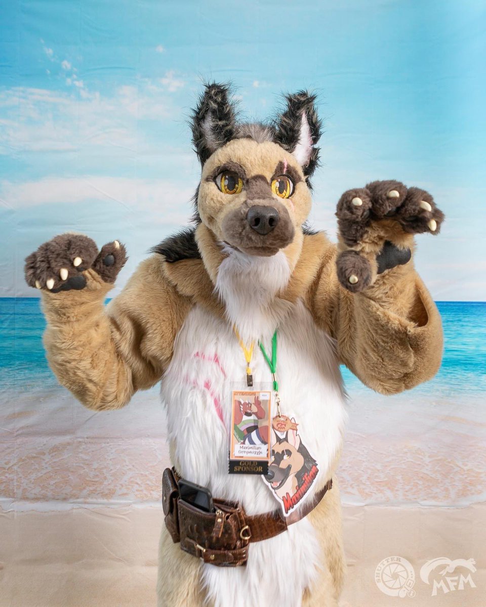 MGreymuzzle's tweet image. It’s Max at #MFM2023 !
📸 by @BearDogShutter