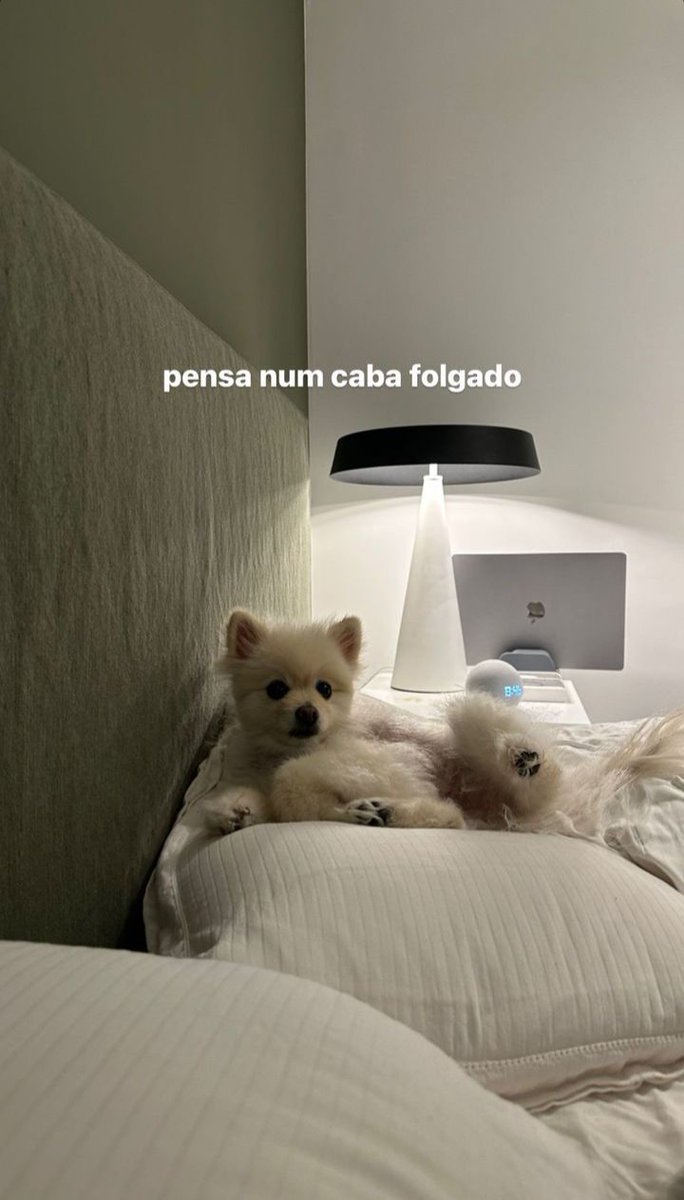 B3ar_Milena's tweet photo. @t3ddyyyyy Ele merece! trabalha muito sendo o dono do canal 🥹 https://t.co/VLguBTnCry
