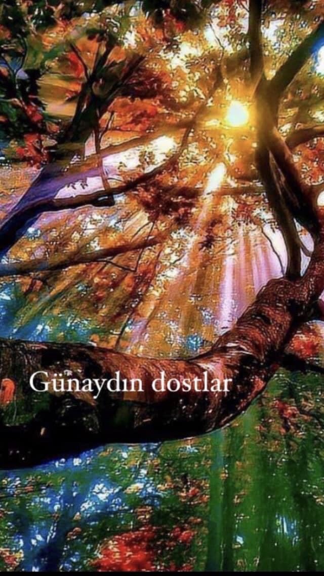 Ali Sevimlisoy (@sevimlisoyali) on Twitter photo 