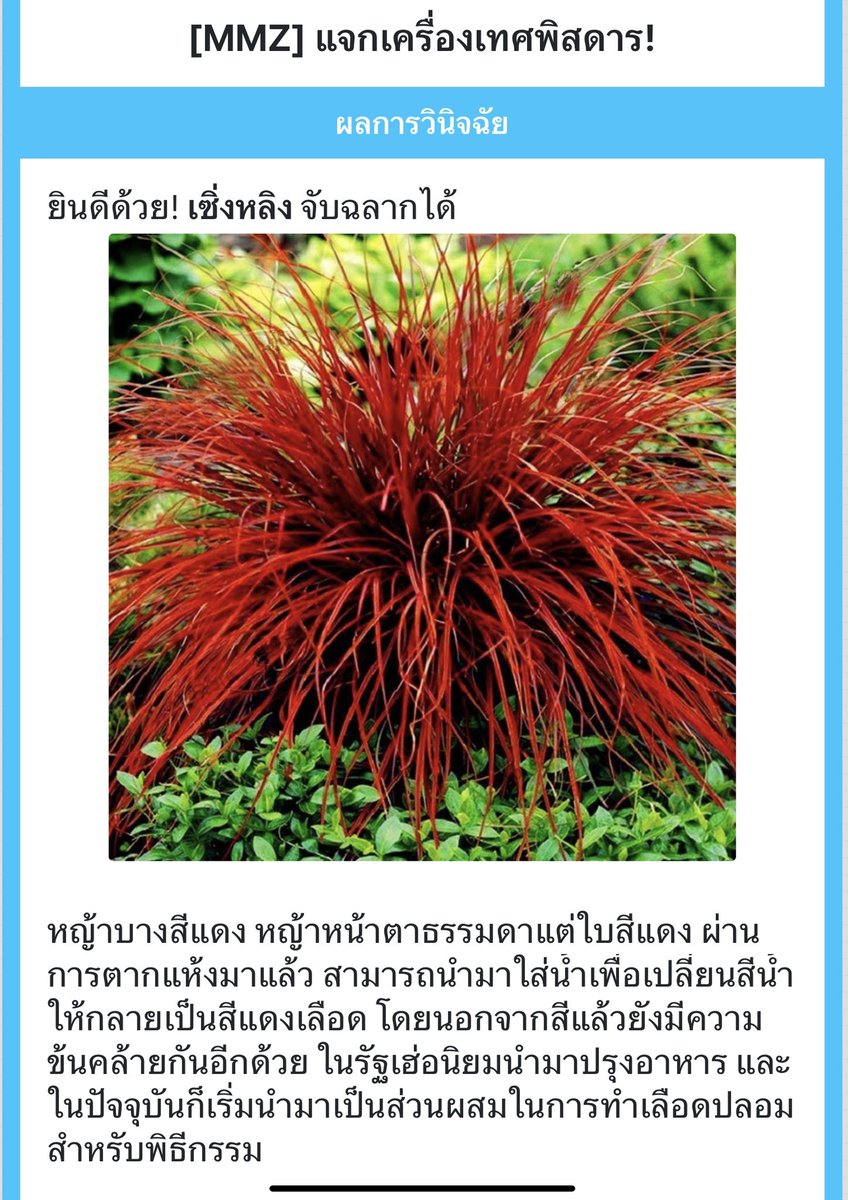 Shengling_MMZ's tweet photo. @mmz_yingsu เซิ่งหลิงยักไหล่ ยิ้มเลื่อนเก้าอี้นั่งด้วยสีหน้าไม่รู้ร้อน ไม่ได้คิดว่ารังแกใครแต่อย่างใด

เมื่อครู่เขาเอาปลาจะละเม็ดกับสมุนไพรมาให้โรงเตี๊ยมทำอาหาร แล้วแวะเอากระเบนไฟฟ้าไปแลก พบว่าแลกได้แค่ลังส้มก็เปลี่ยนใจเก็บกระเบนไว้เอง เผื่อใช้ทำอย่างอื่น

“ใช่ อร่อยไหมเล่า” https://t.co/VOTkU8WOfi