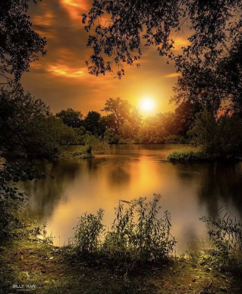 The Nature (@deepsoulnature) on Twitter photo 