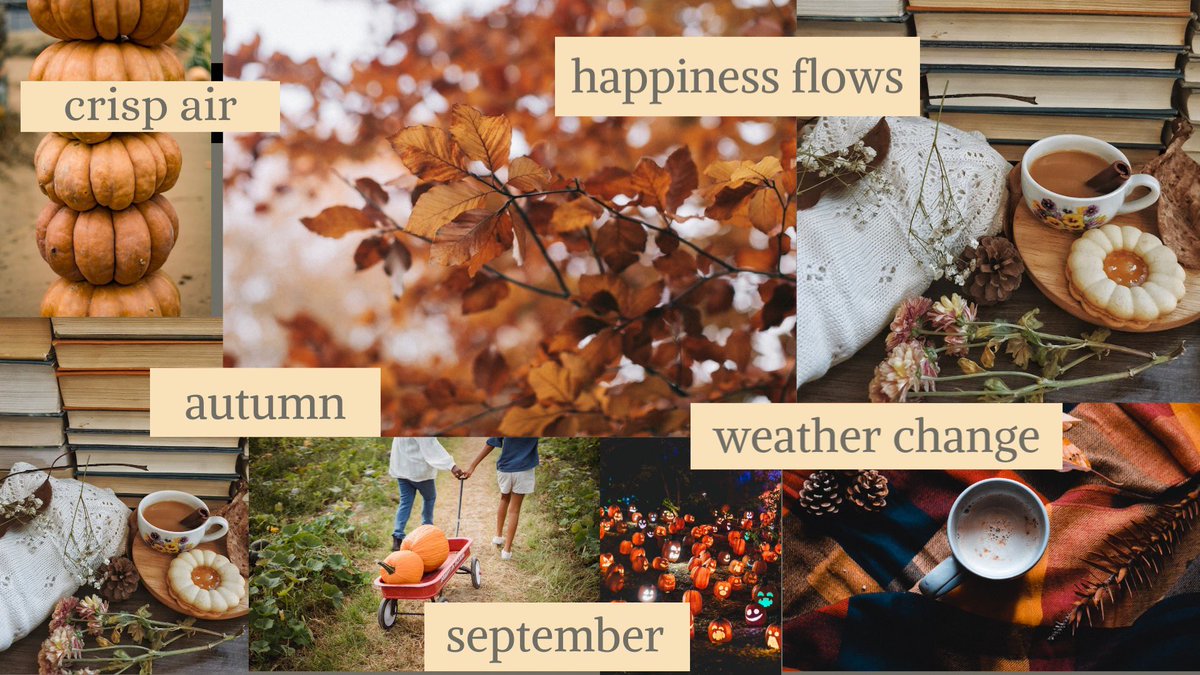 Meri_Riley's tweet photo. Fall is approaching so quick and I couldn’t be more excited!! 🕯️🍂🫶 #september #BestSeason #RSJ108 @DisruptiveDESGN https://t.co/HloGPUnXIl