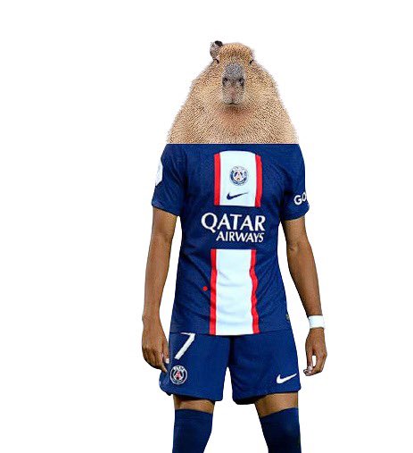 CapybarasFC_502's tweet photo. PÓNGANLE CONDÓN A MBAPPÉ PORQUE SE VIENE SE VIENE SE VIENE🐢🐢🐢🐢
#capybarasfc #capyteamgt #capyneta #LSNG https://t.co/hTUUB5u8R9
