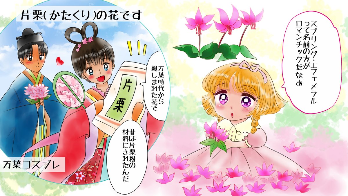 答えは片栗(カタクリ)です 
万葉の時代から親しまれていました
かってはこの花から片栗粉が作られていまし
早春に花を咲かし
他の花々が咲きだす春まっさかりには姿を消すため
「スプリング・エフェメラル」春のはかないもの
と呼ばれています   
クイズのページです  https://t.co/STZIaeYDXl 