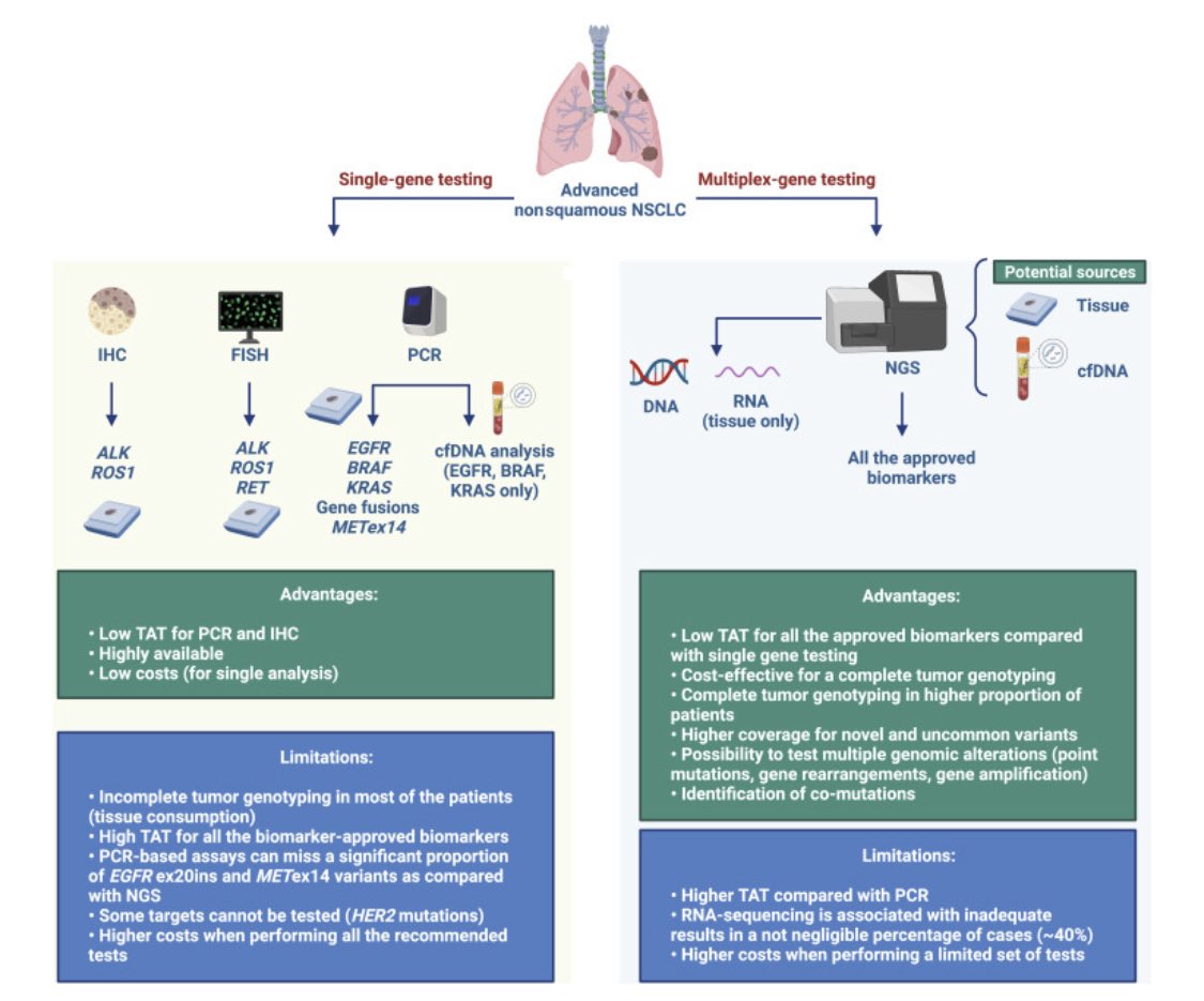 Christian Rolfo (@christianrolfo) on Twitter photo Exploiting the Full Potential of Novel Agents Targeting EGFR Exon 20 Insertions in Advanced NSCLC: NGS Outperforms Polymerase Chain Reaction–Based Testing <a href="/JTOonline/">JTO & JTO CRR</a> jto.org/article/S1556-… <a href="/Al3ssandroRusso/">Alessandro Russo</a> <a href="/IASLC/">IASLC</a> <a href="/isliquidbiopsy/">International Society of Liquid Biopsy</a> <a href="/TischCancer/">The Tisch Cancer Institute</a> <a href="/IcahnMountSinai/">Icahn School of Medicine at Mount Sinai</a> Exploiting the Full Potential of Novel Agents Targeting EGFR Exon 20 Insertions in Advanced NSCLC: NGS Outperforms Polymerase Chain Reaction–Based Testing <a href="/JTOonline/">JTO & JTO CRR</a> jto.org/article/S1556-… <a href="/Al3ssandroRusso/">Alessandro Russo</a> <a href="/IASLC/">IASLC</a> <a href="/isliquidbiopsy/">International Society of Liquid Biopsy</a> <a href="/TischCancer/">The Tisch Cancer Institute</a> <a href="/IcahnMountSinai/">Icahn School of Medicine at Mount Sinai</a>