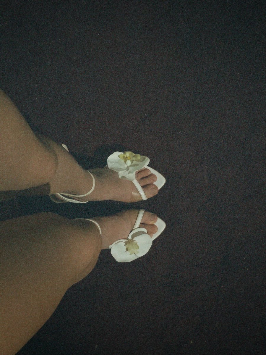 Alousoff's tweet photo. Florecitas hasta en el suelo.

💐 https://t.co/RcAnSKQIh6