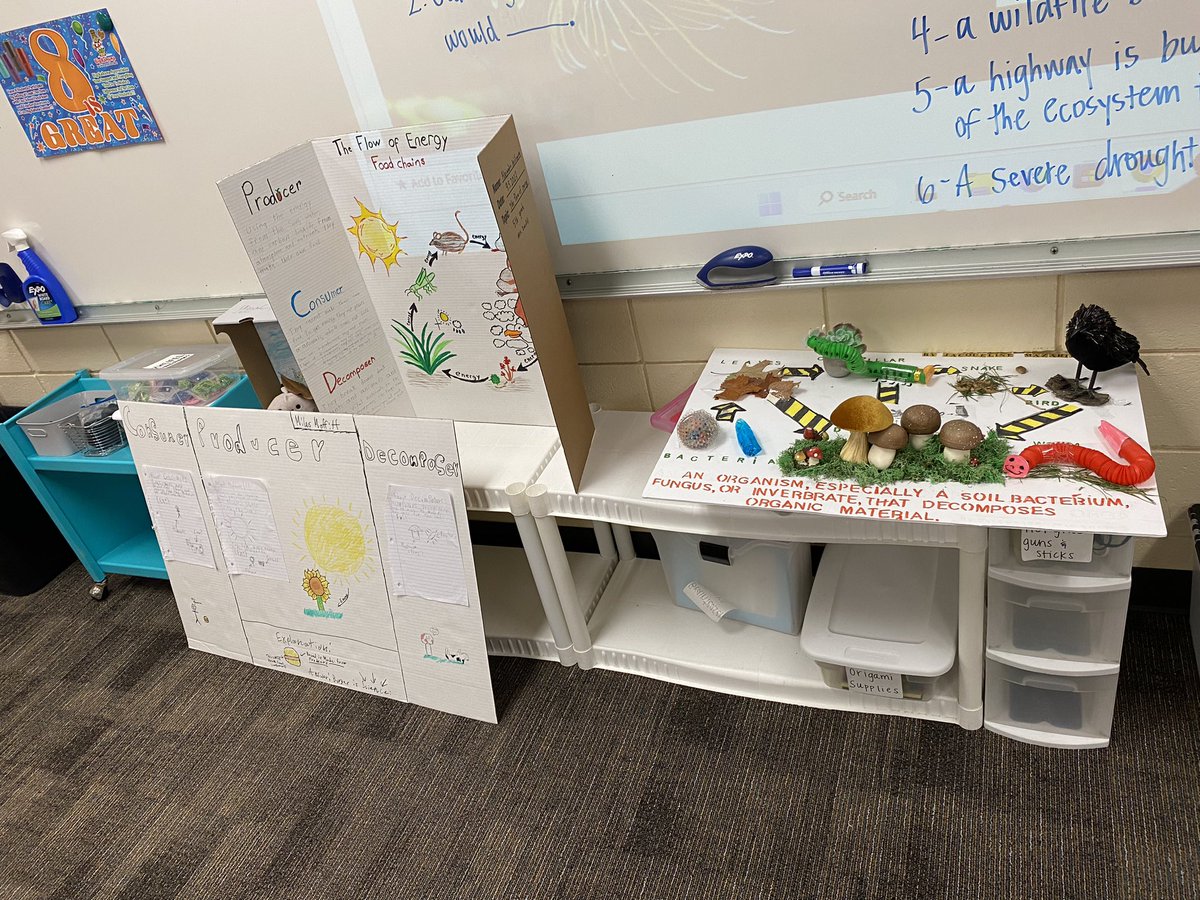 MrsZweifel5th tweet media