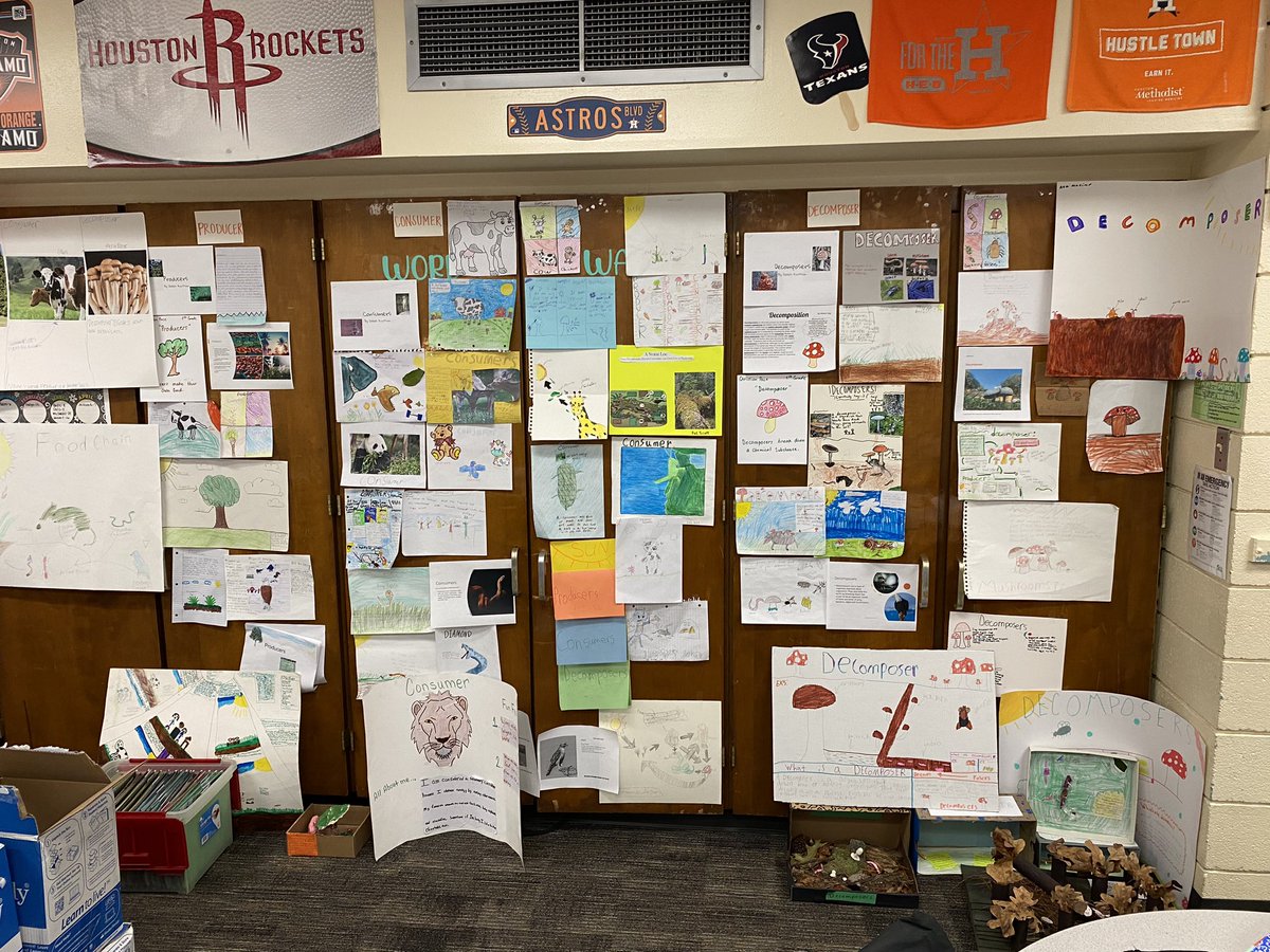 MrsZweifel5th tweet media