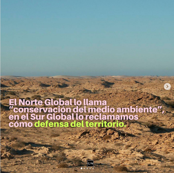 Chigüire quejumbroso tweet media
