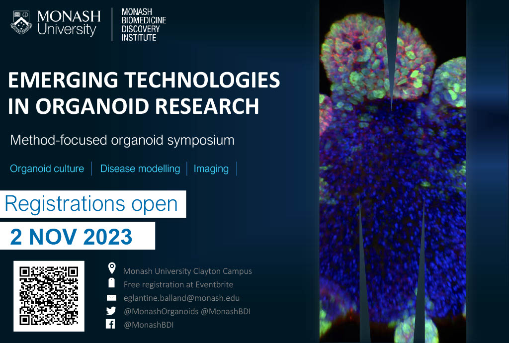 Monash BDI Organoid Program tweet media