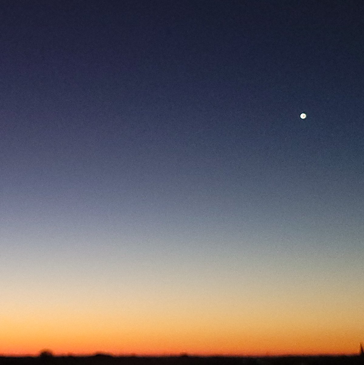 frankdeboosere's tweet photo. Goedemorgen.
Zeer zonnig, droog en warm.
MaxT rond 30°C.
O- tot ZO-wind 2 Bft
#persistentie #Venus https://t.co/ew2Zn23XHm