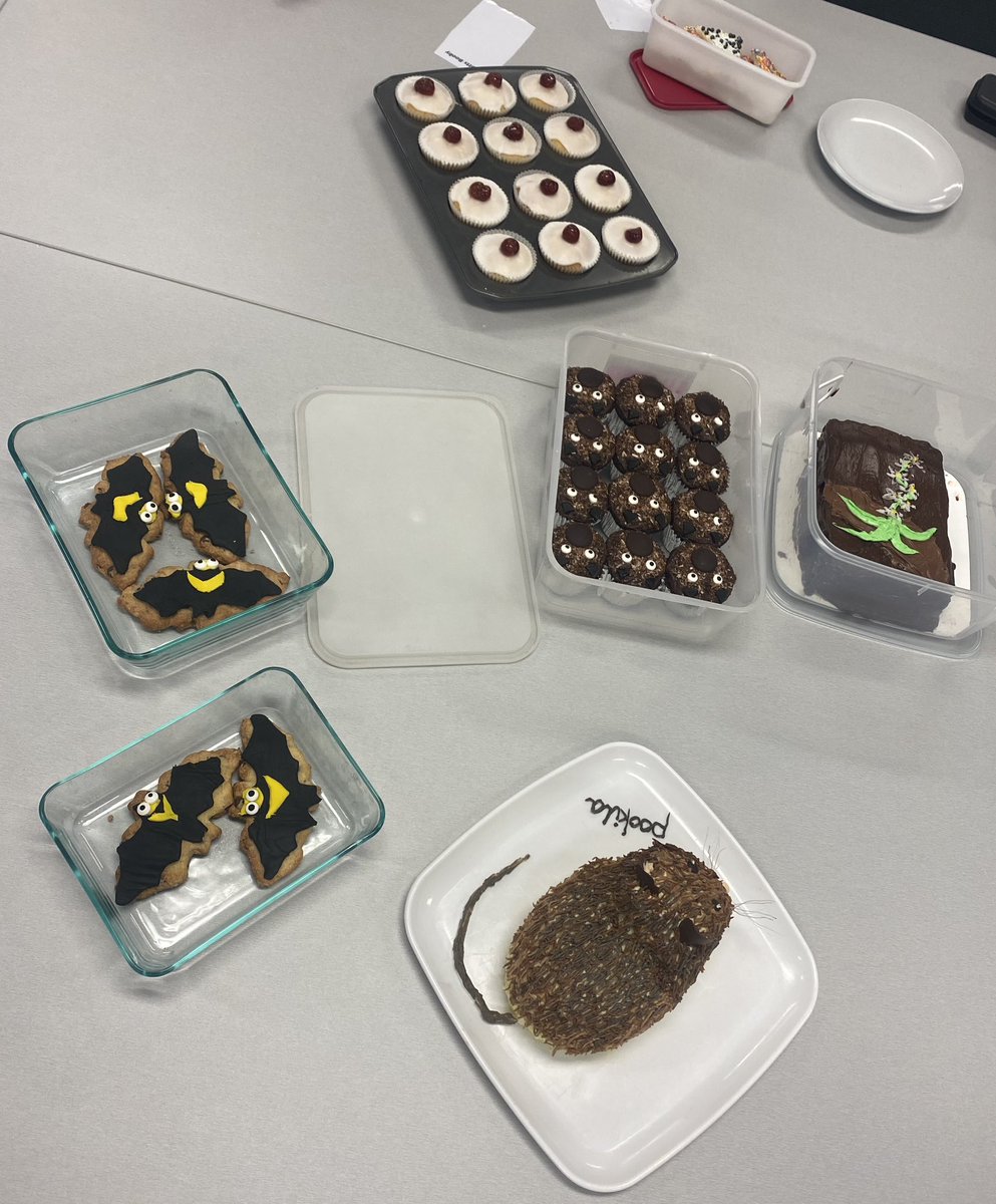 On this #ThreatenedSpeciesDay our School had a bake-off to put in the spotlight the many organisms that are considered threatened in the wild in Australia. 

The crowned winner was the native threatened mouse pookila, also known as the new holland mouse. 🐭🤩

#TSBakeOff2023