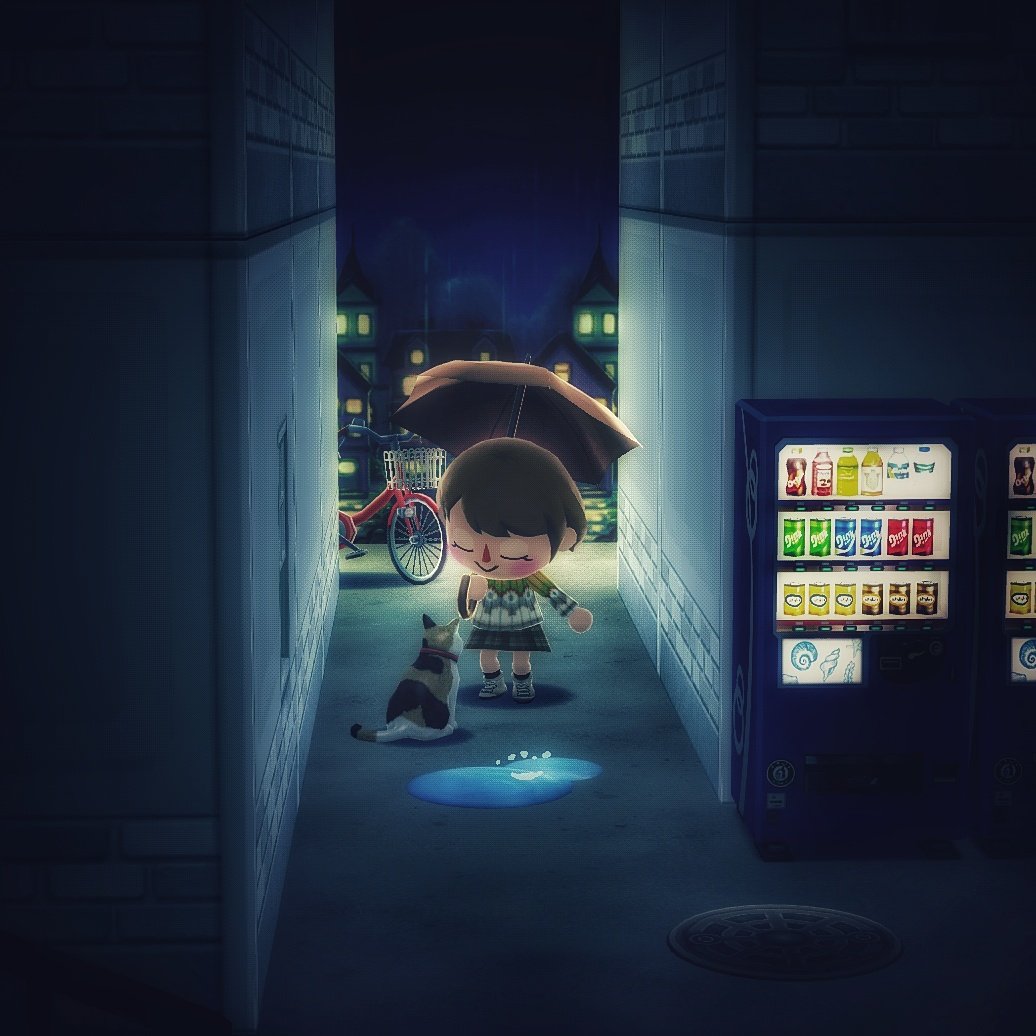 コウちゃん tweet media