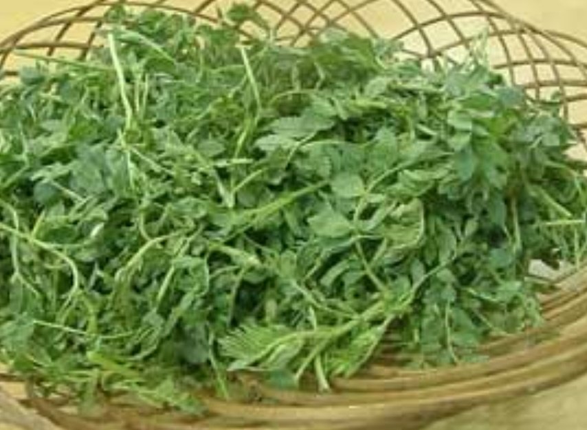 Ruchi ¥$_ ₿🇮🇳 tweet media