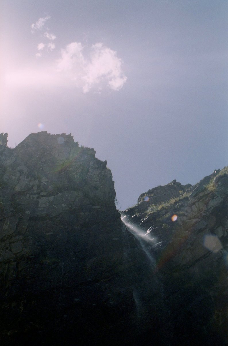 Agostina Gladiali tweet media