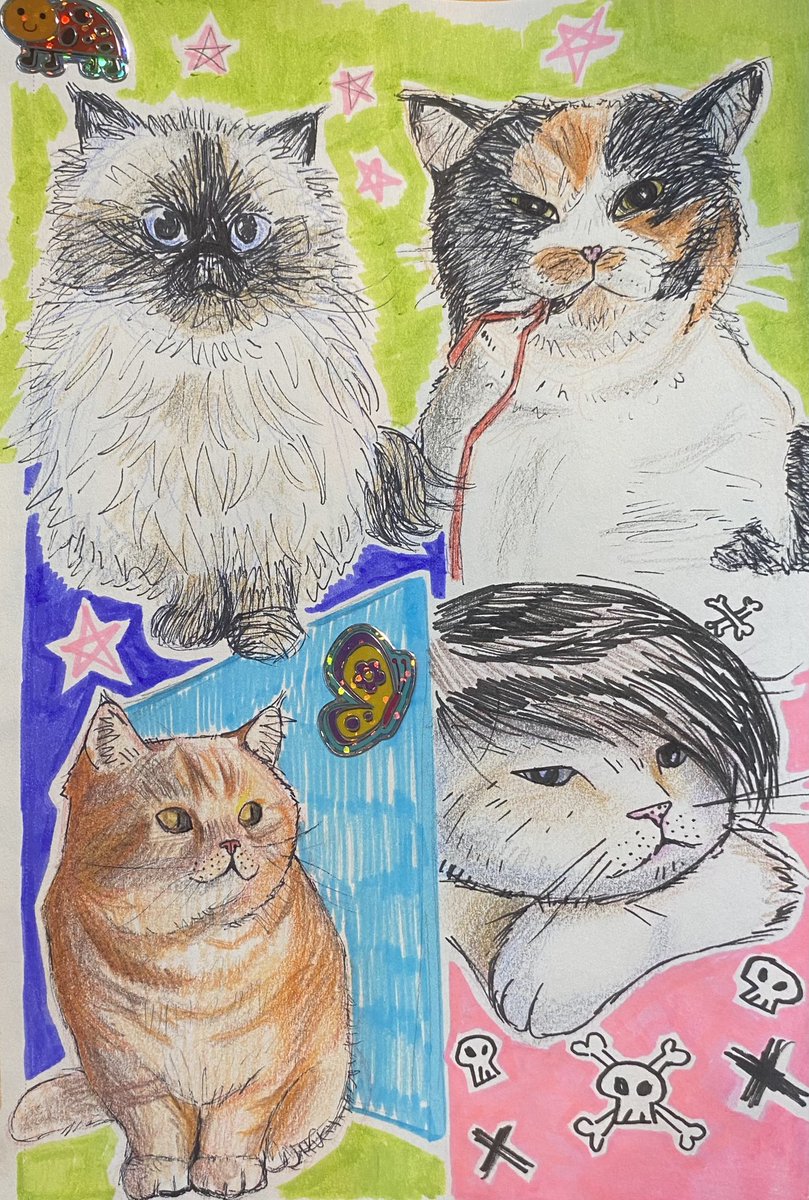 paperseedss's tweet photo. Kitties!!!! https://t.co/ppC0F8Zdc5