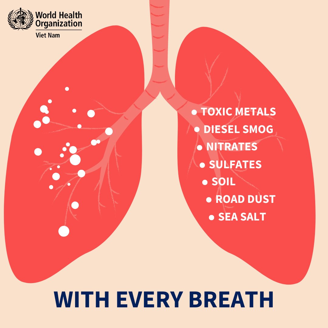 Do you know:
99% of the world’s population is now breathing polluted air.
Air pollution kills around 7 million people each year across the earth.
90% of those affected live in low- & middle-income countries.
We need climate action now!
#TogetherForCleanAir #WorldCleanAirDay