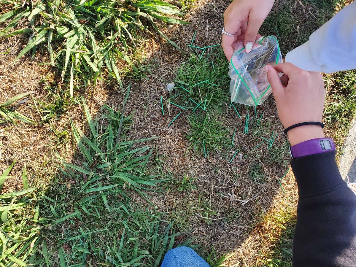 ChristinaJahr1's tweet photo. Taking labwork outside with @MesaUnionSchool 8th graders exploring natural selection as "birds" preying on different colored "worms". Excited to be engaging our middle school students with our newly adopted science program. #SEPUP #LabAids #DifferenceMaker ๐ฏ#TheMesaWay https://t.co/x80ErWNhRS