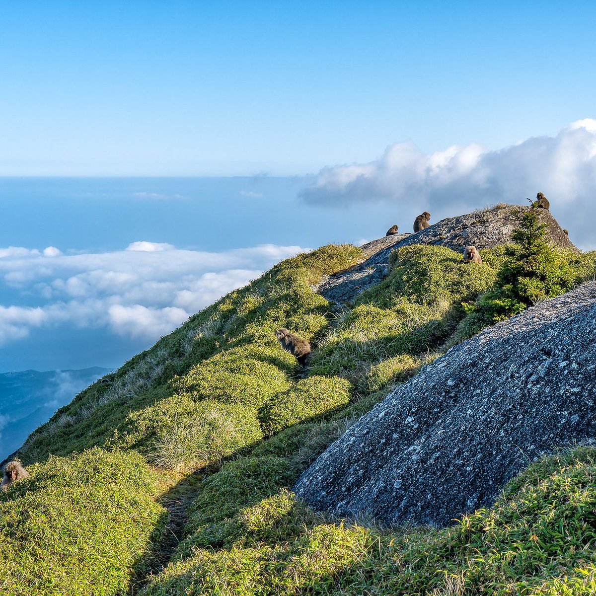 🔆🌞☀️🌿🐒⛰️🌱💞