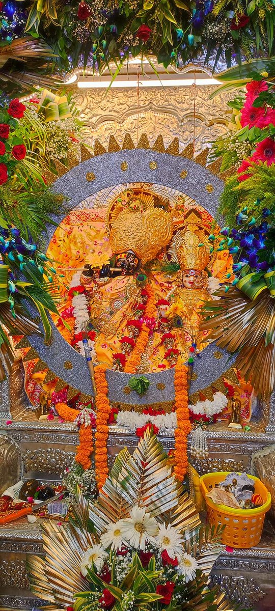 SBhardwajBJP tweet picture