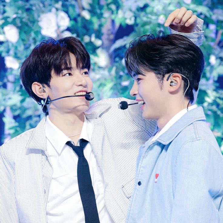 haobinbubble's tweet image. Hello everyone! We are a new acc dedicated to keep you updated with 🎻 and ☘️ 🫧 updates! 

Please follow and rt so it reaches more people

Also, please refrain from mentioning the names when qrting for security purposes (you can use the emojis that represent them)