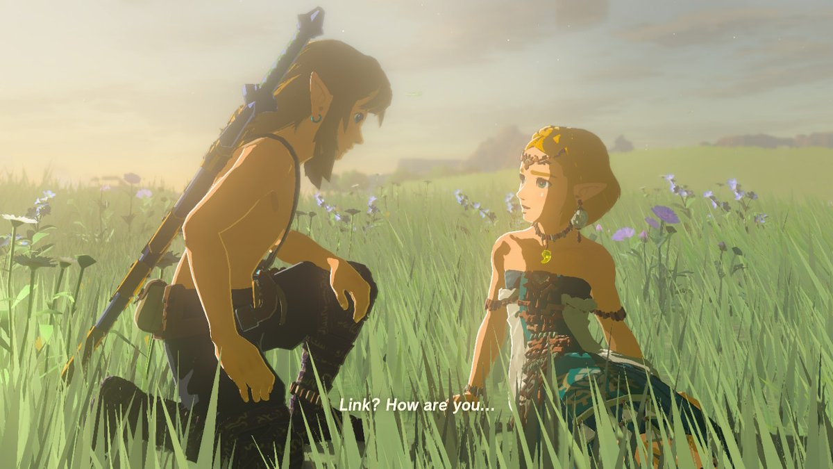 StyrianLenore's tweet photo. Peace returns to Hyrule. Another legendary adventure! #TearsOfTheKingdom #Zelda #NintendoSwitch https://t.co/xyVMgCYnmj