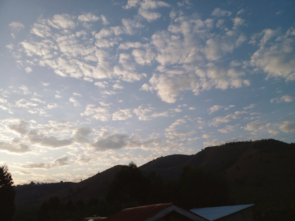 brian423040372's tweet image. GM Friend's  #prettyclouds 
Wishing you a happy #Thursday 
#sunsetphotography #NatureBeauty