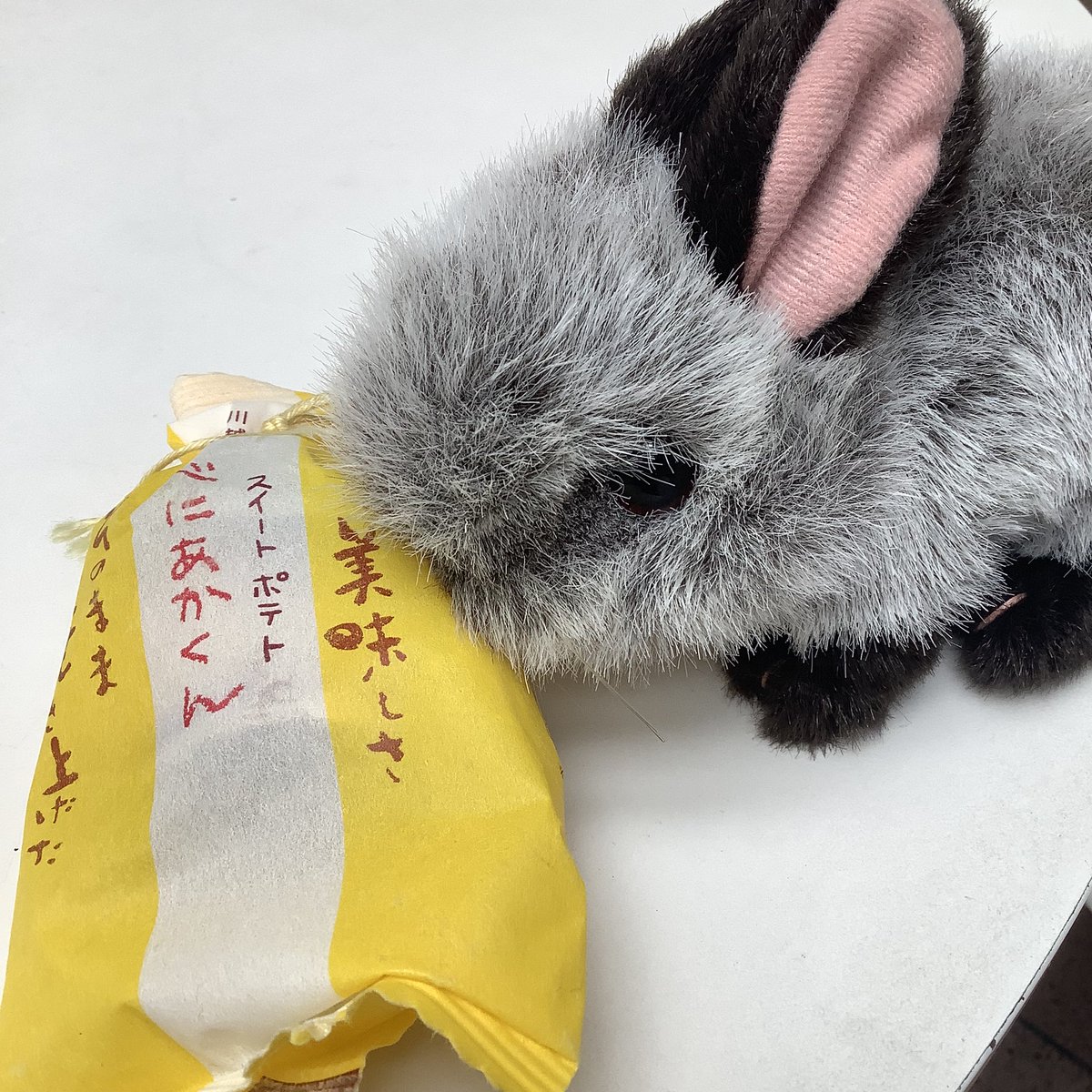 空港着いた!
帰るでやんす
コミティアでいただいたおやつと新メンバーぬいの栗すピー
(コミティアでいただいた差し入れやお手紙一度自宅に送っており帰宅後に見せていただきます〜!😭❤️)