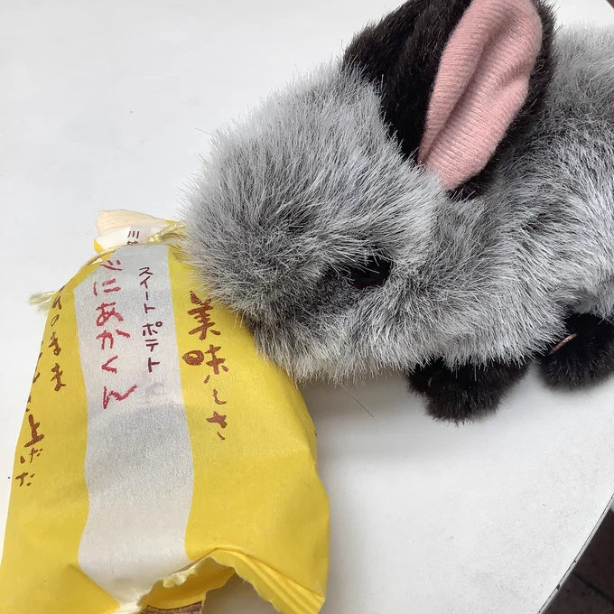 空港着いた!
帰るでやんす

コミティアでいただいたおやつと新メンバーぬいの栗すピー

(コミティアでいただいた差し入れやお手紙一度自宅に送っており帰宅後に見せていただきます〜!😭❤️) 