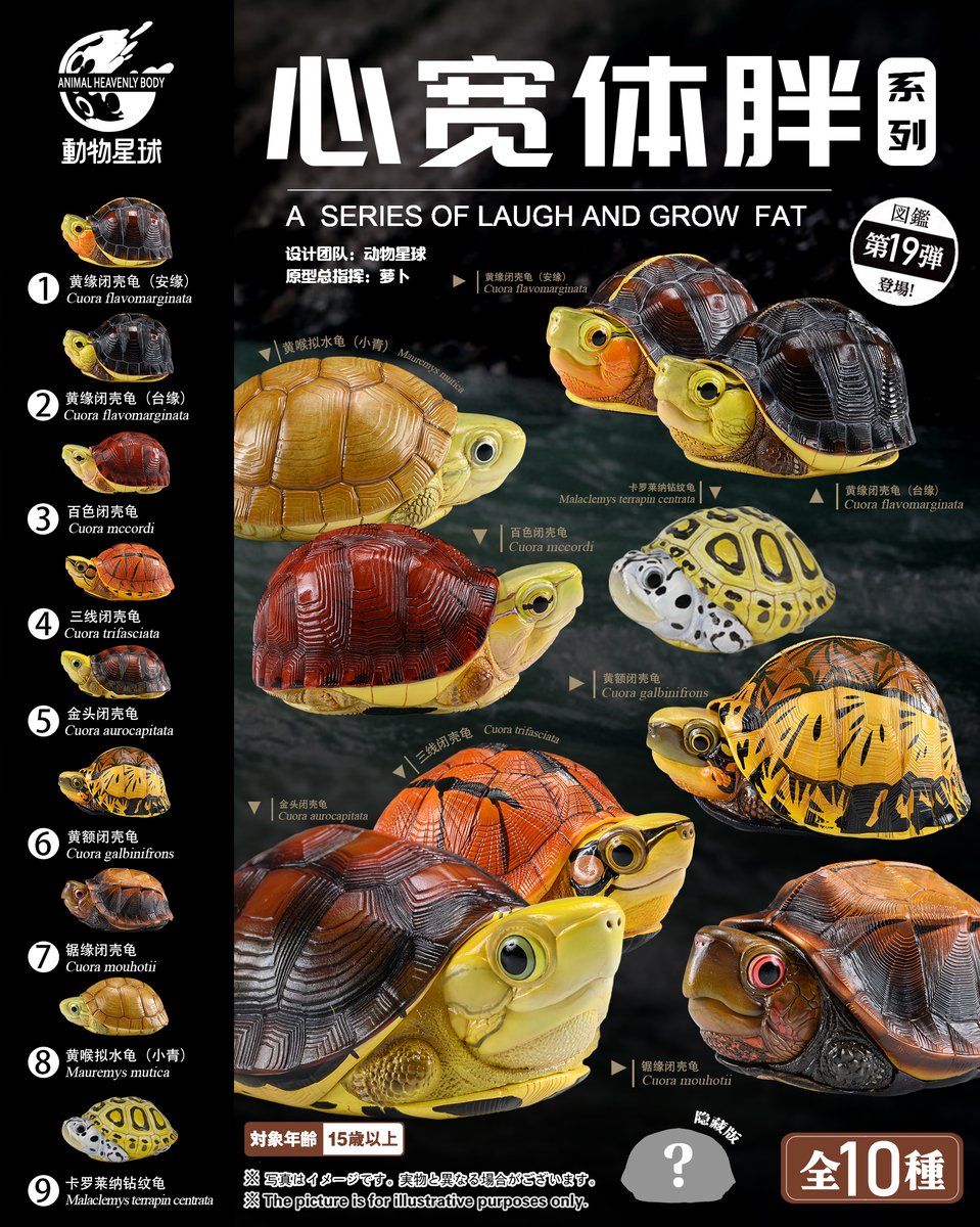 animalp39390734's tweet photo. 百色闭壳龟 闭壳闭眼 世界尽在它的壳里
百色ハコガメ 甲羅と目を閉じれば世界は甲羅の中
#TURTLE #models #reptle #tortoise #reptiles #フィギュア #爬虫類 #ボールパイソン #Cuoragalbinifrons #IndochineseBoxTurtle https://t.co/ydvSf8YSG7