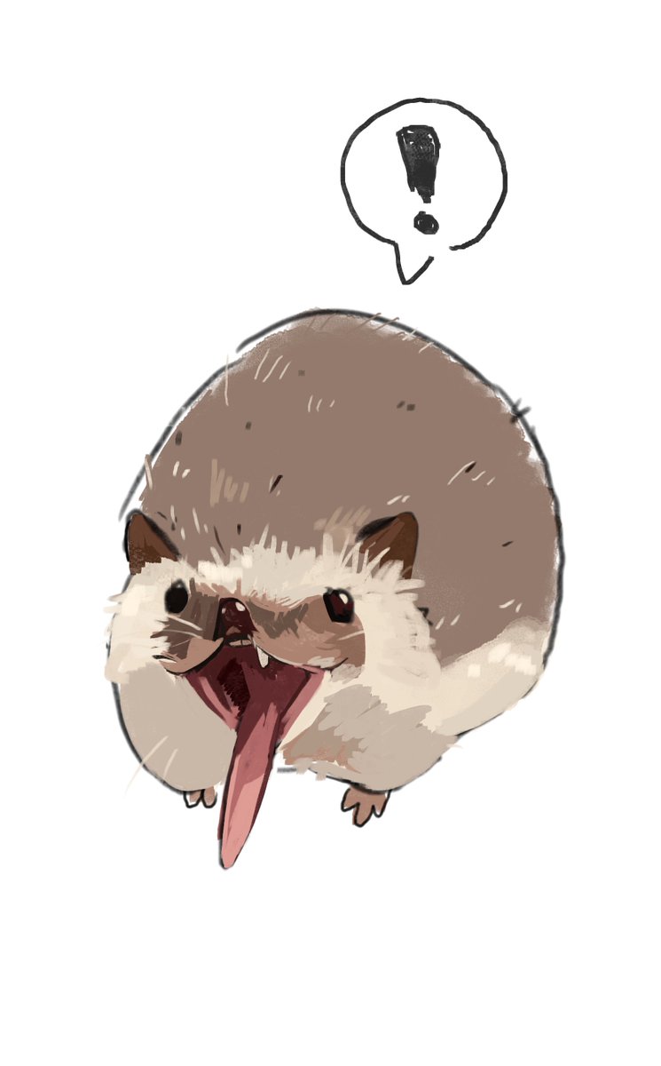 germit (@germ_poo) on Twitter photo 