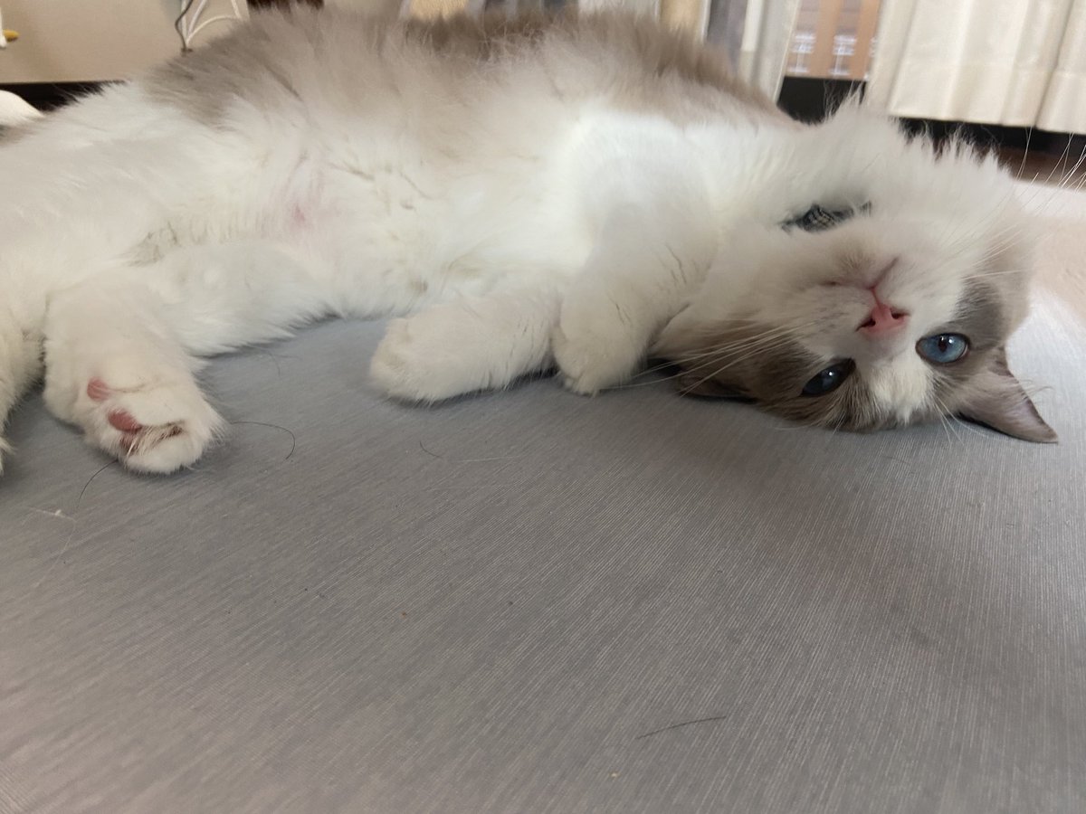 今日も快適そう☺️☺️なにより