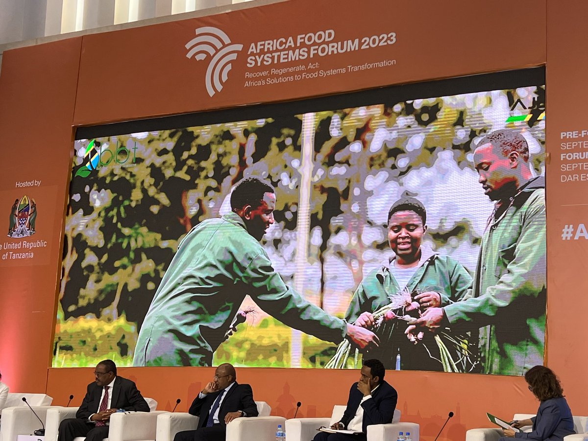 AlphonsoVM's tweet photo. Now at #AGRF2023 - Dr. Beth Dunford, @AfDB_Group Vice Pres. for Agriculture, Human &amp; Social Development joins an extremely distinguished panel for “#Tanzania Showcase - Build a Better Tomorrow Legacy Program.” The session explores creating #Jobs4Youth in agri #FoodSystems. https://t.co/W5SMzJkFrO