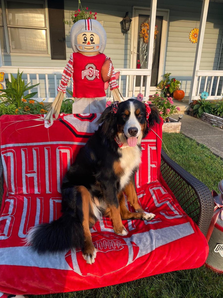 tyllason66's tweet photo. #Buckeyes #OhioState https://t.co/aWGYdZElmZ