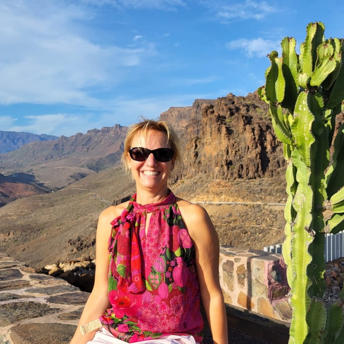 VSapède tweet media