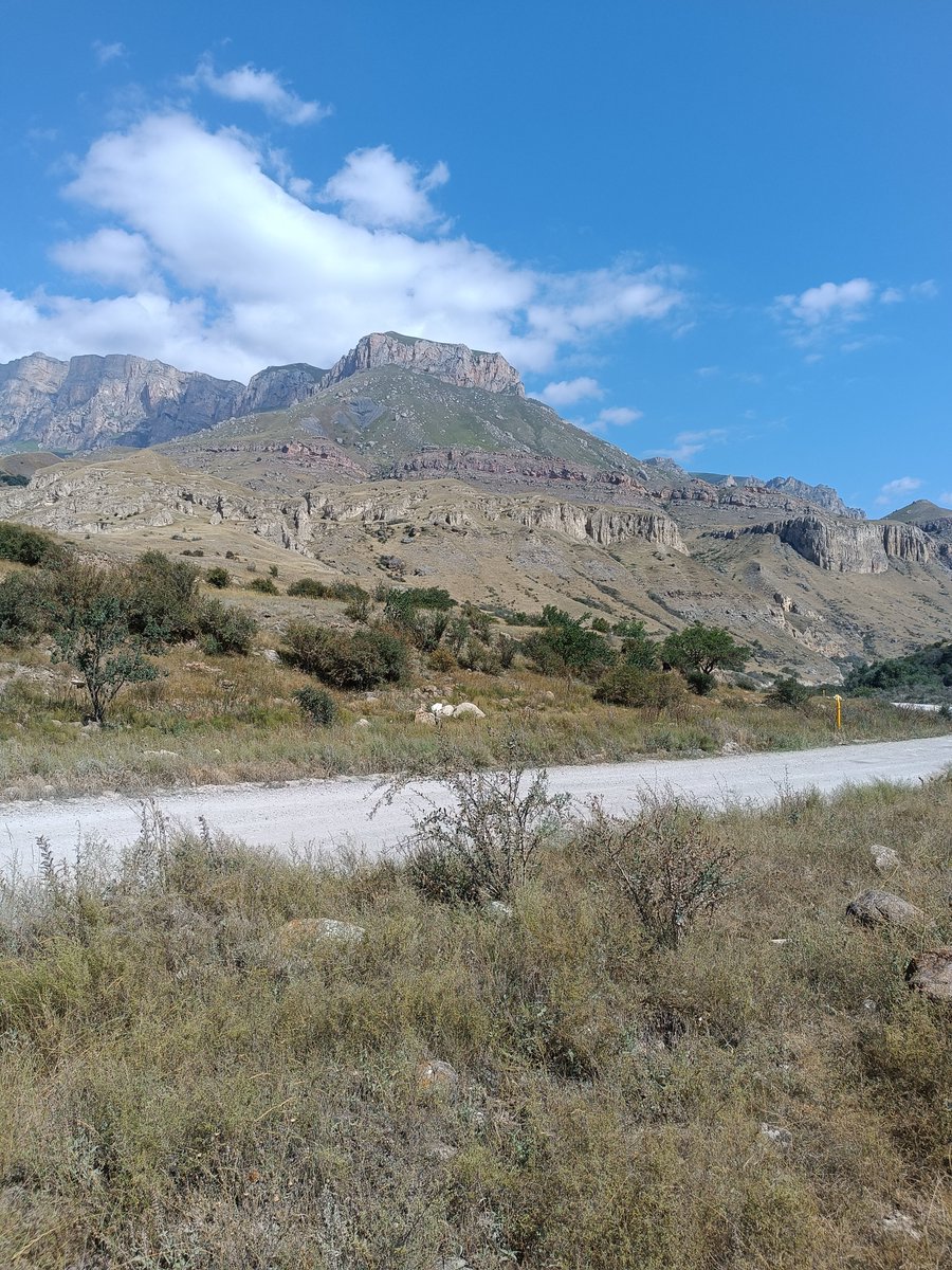 vlfomichev's tweet image. Едем на парадром Чегем