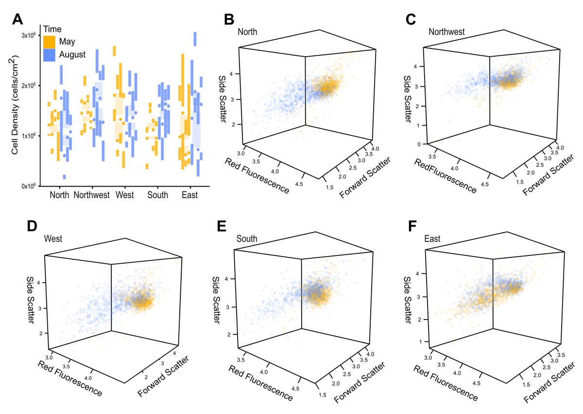 Colin Anthony tweet media