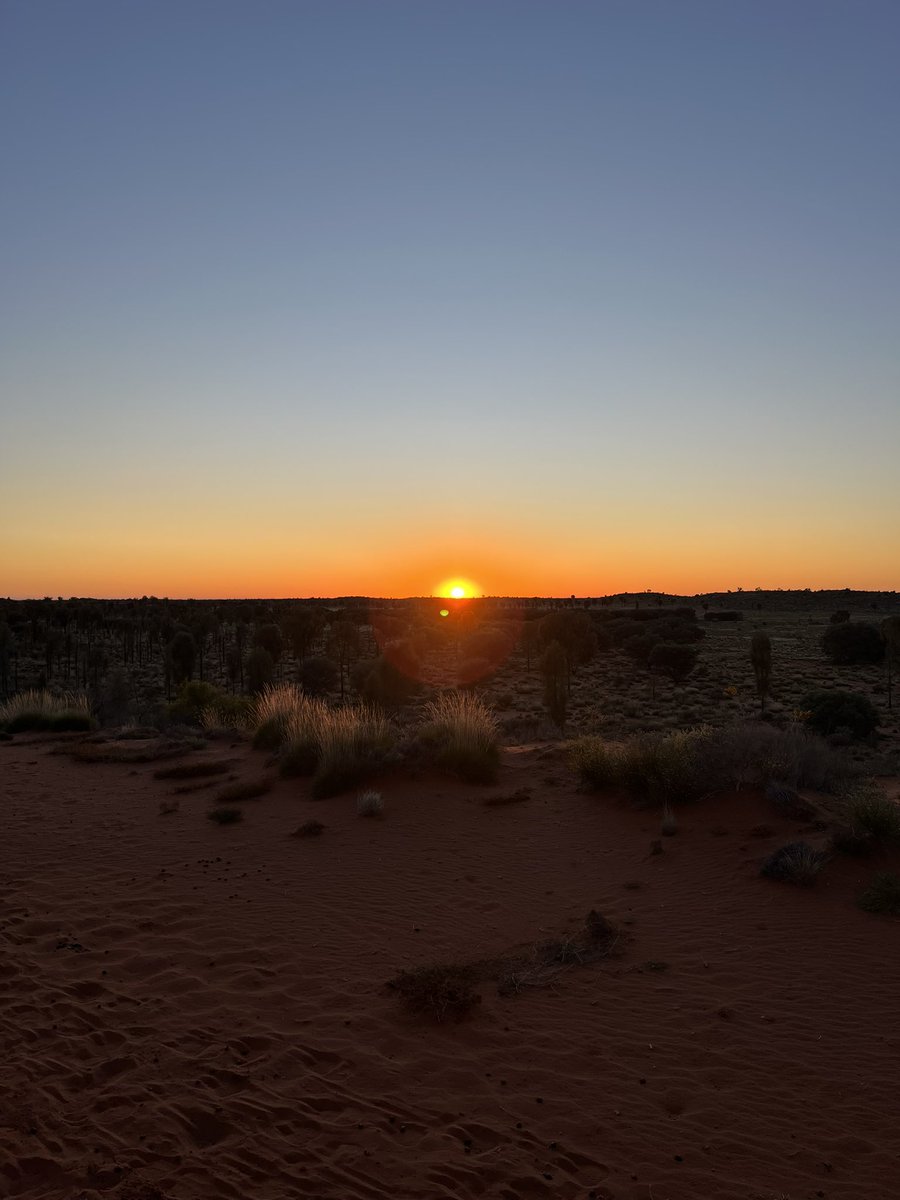 An early camel ride to see the sunrise over Uluru followed by riding the full circuit around Uluru. Swags now set up at Kings Canyon for the night!