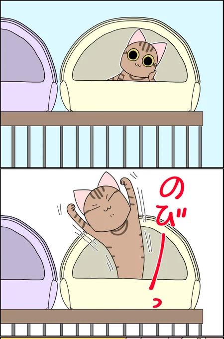 空から女の子が! 1/2

#漫画が読めるハッシュタグ #漫画がよめるハッシュタグ #漫画 #コミックエッセイ #猫がいる暮らし #猫好きさんと繫がりたい #日常 
