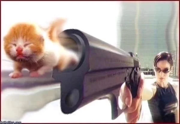 Lain’s pics and videos