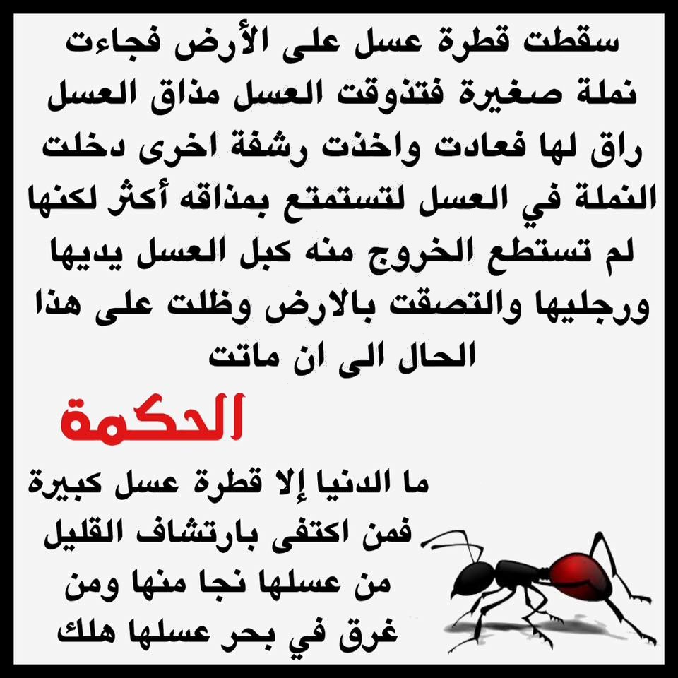 HamidHamou13's tweet photo. @uar89134 شبه الذكور في زمان المخنثين اتهلا في أمك وأختك بزاف https://t.co/VR56XrkAMx