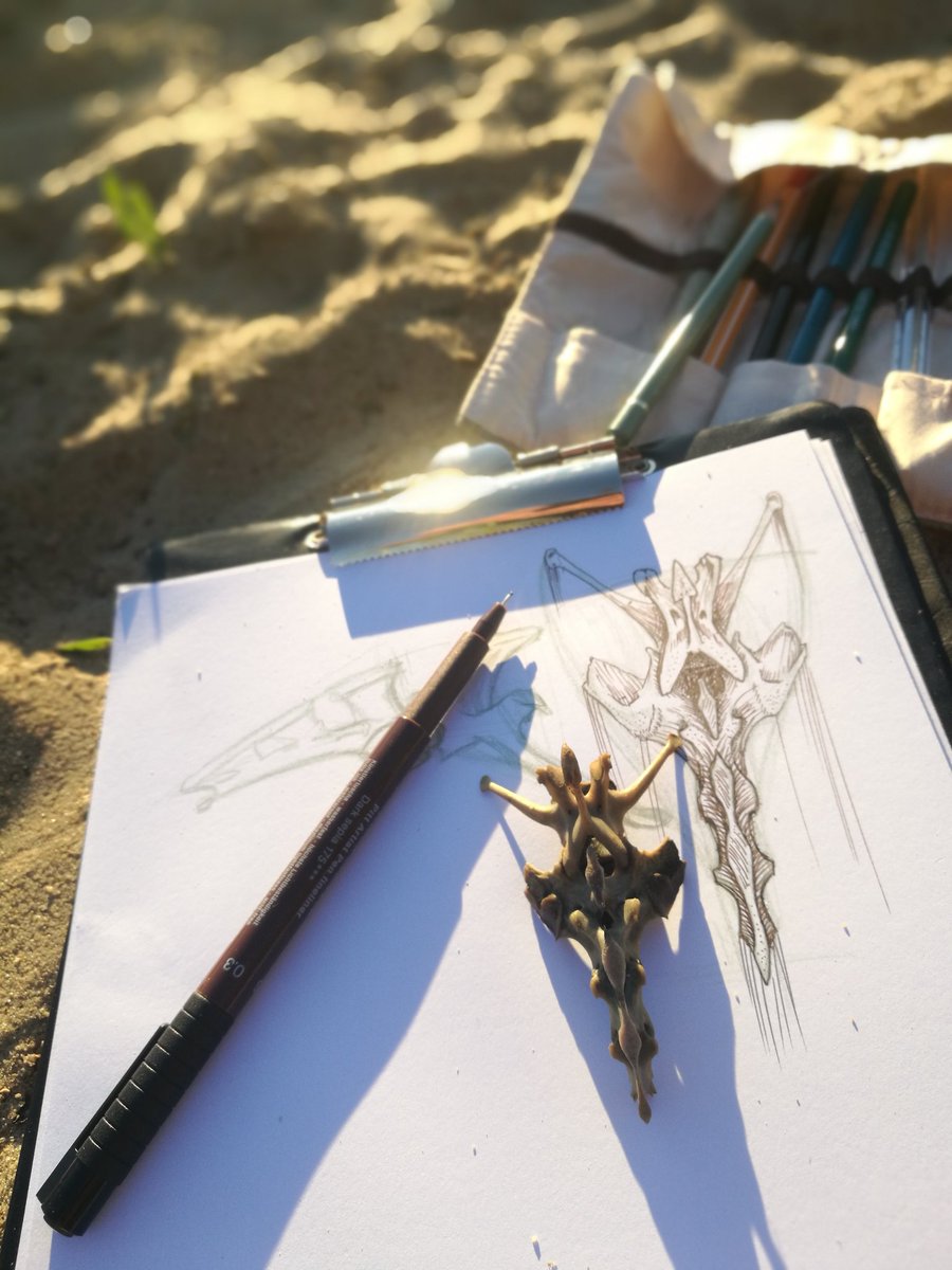 You can find very interesting things in the lake. 
.
#sketching #drawing #bones #lake #anatomy