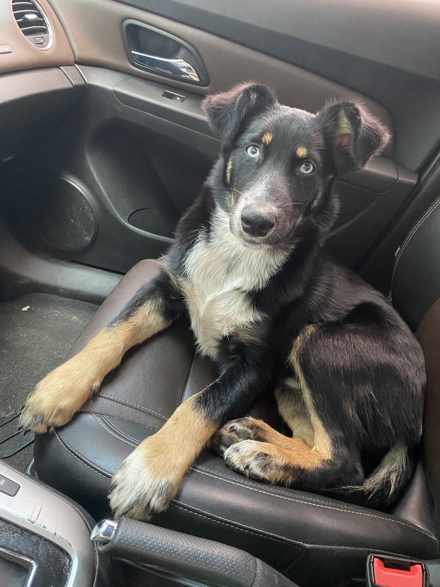 Kiba then and now, the most handsome boy 🥹