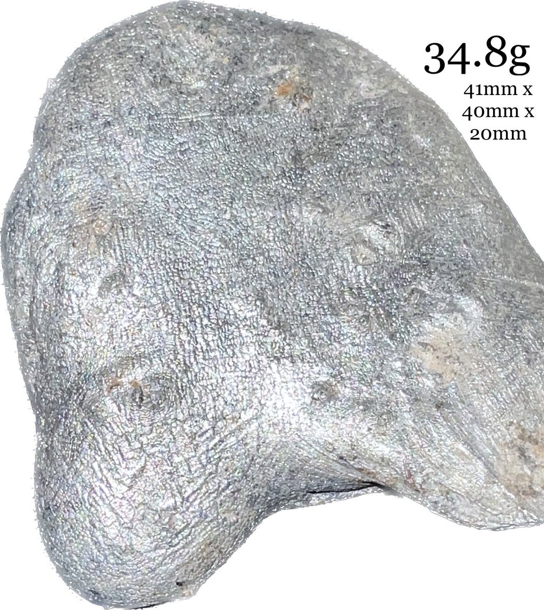 FossilsPossible's tweet photo. Another new #discovery while searching for an #ImpossibleFossil #Hunting #SpaceRocks #DontLookUp #KeepLooking all around! This one find weighs in at 34.8g and measures approximately a whopping 41mmx40mmx20mm! @NASASolarSystem @StartupPro @elonmusk https://t.co/Jfd7IY01aa