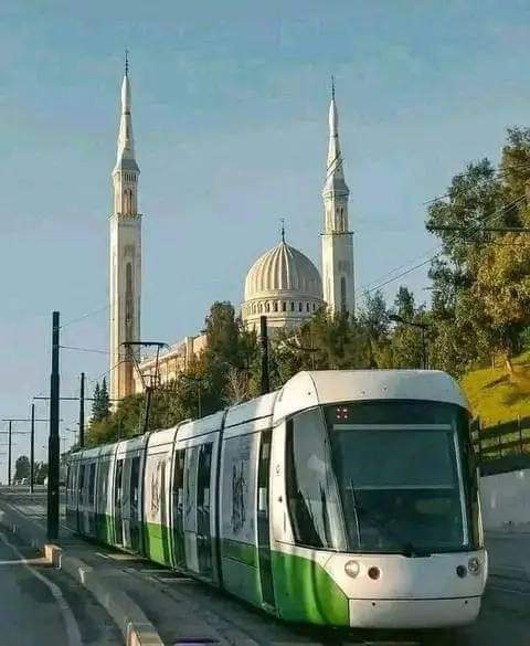 Bonjour a tous 💚🌿 Bonne journée de constantine la ville des ponts suspendu 📌🇩🇿🌎